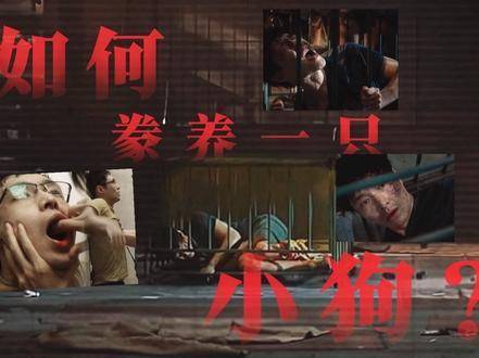 怎样把一只小狗养得服服帖帖？潘生的乖巧小犬来报到