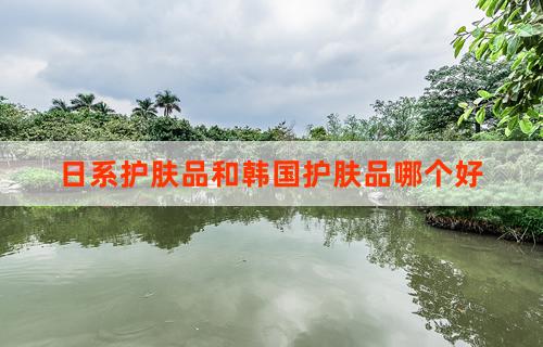 日系护肤品和韩国护肤品哪个好:比较与探讨