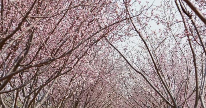 昼夜等长，在石景山找回生活的“平衡点”