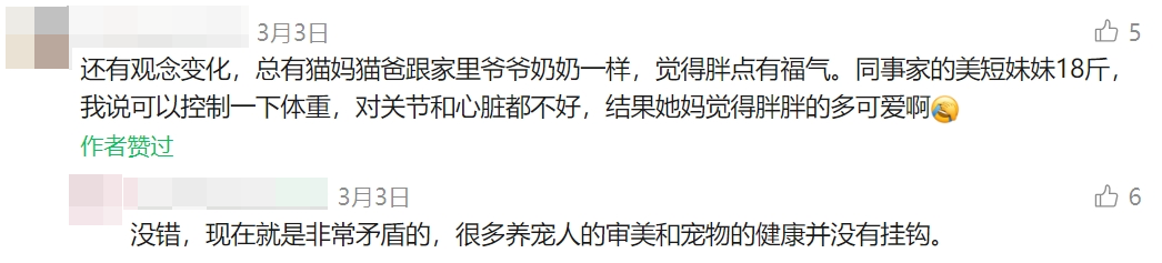 许多养宠人并没有意识到宠物肥胖的危害性。图源：斜对面的老阳