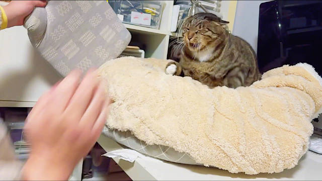 沉氏养居场十卷偷袭皮卡反被抽手指