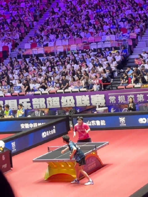 松岛少爷陈俊菘对决林高远直拍，石头比赛同期进行