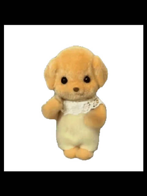 某男星试管求龙凤胎，赵露思筹备专辑，白鹿新剧数据遭疑，王源学业受困