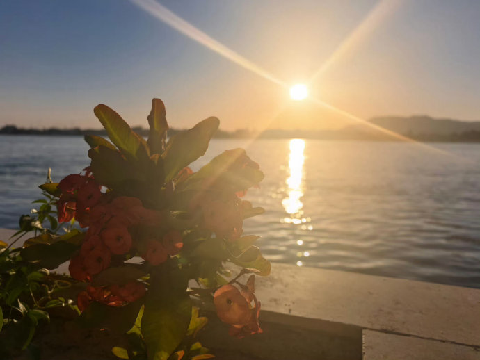 演员为角色主动改变身形，是行业必修课还是过度牺牲？