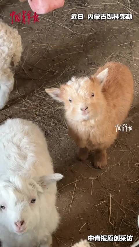 话题