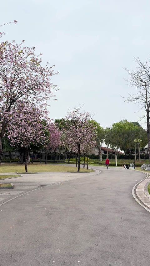 露露回应穿搭争议称上班需保证最快穿着