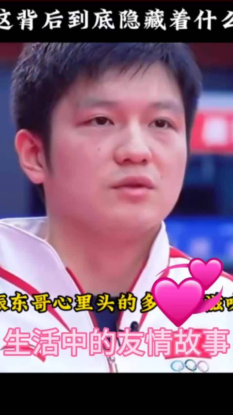 樊振东陈梦全红婵同为农村走出的体育健儿