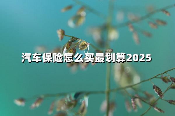 2025年车险省钱指南:这样买能省下一半钱_沃保保险网