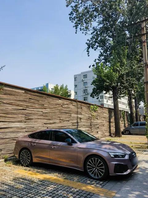 单一维度评测｜奥迪A5动力测试：轻混加持，性能与平顺的完美平衡