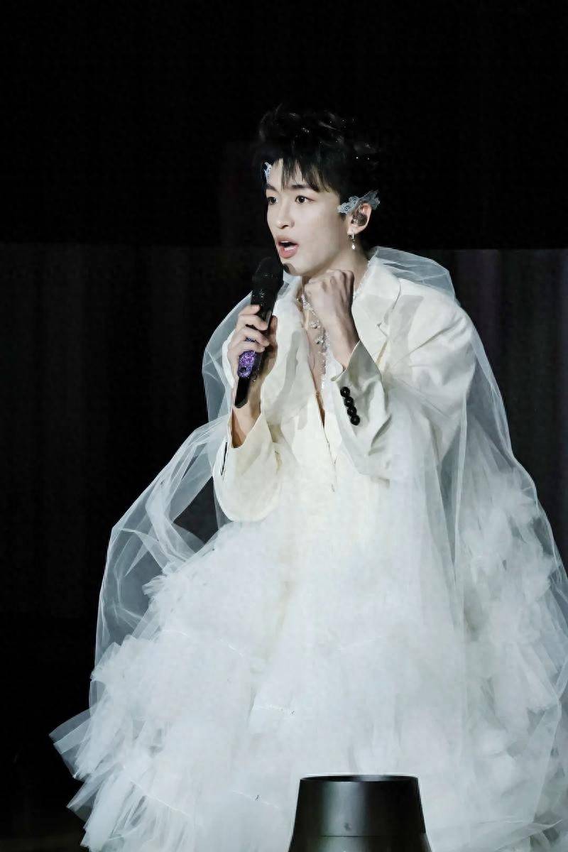 胡先煦突袭黄子弘凡鸟巢演唱会，显眼包式应援笑翻全场