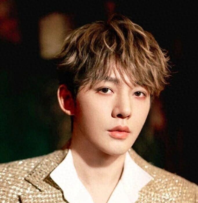 邓为与郭敬明合作《百妖谱》,赵露思有望加盟,粉丝期待值拉满!