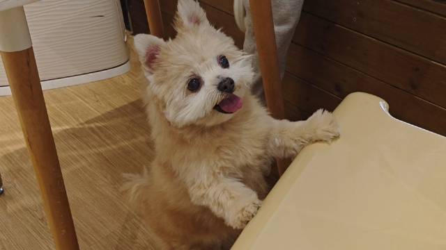 和仔仔共度欢愉周末时光！