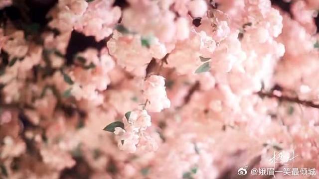 爱你是我做过最好的事情 爱你