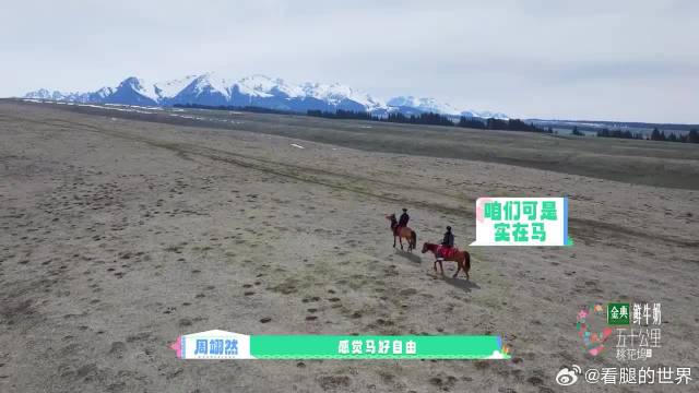 这才是自由的味道！周翊然董思成草原上骑马，意气风发
