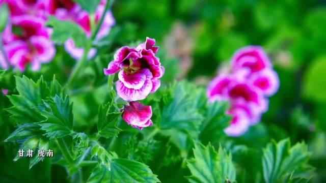 年轻女性三招守护卵巢远离早衰