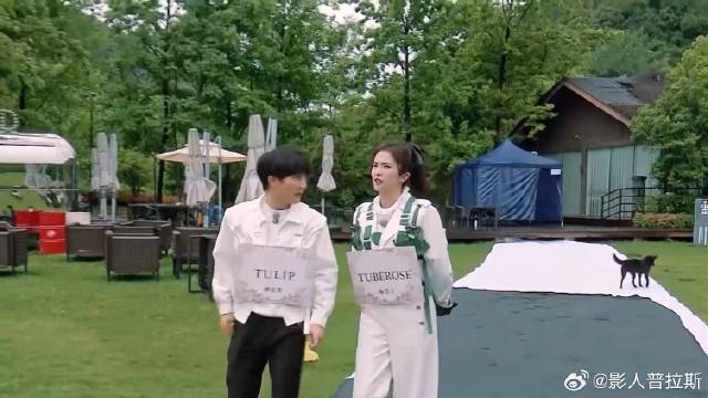 白鹿真厉害 直接找到一厚沓卡牌，容祖儿李晨都酸到了！