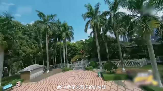 李晨找导演理论 不料导演一句话他就不敢再说了，太绝了！