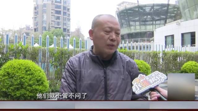 男子贴墙纸从2米高跌落昏迷 责任如何划分？