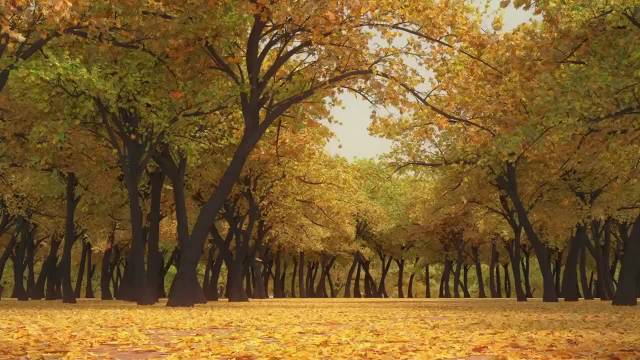 黑夜中的思绪与记忆，在月光下苏醒又消散