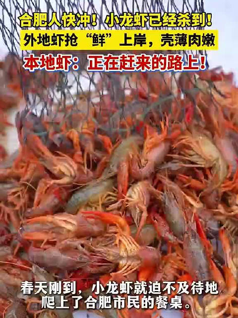 合肥百大周谷堆小龙虾上市，市民尝鲜正当时