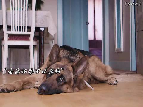 马丽主演最新搞笑电影《东北虎》