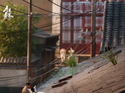 《冬去春来》开播收视狂飙，半小时破3领跑全平台