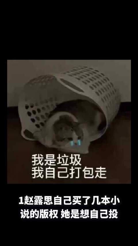 赵露思购小说版权自主投资，瞿颖父为花鼓戏演员曾与姜文合作，董璇护夫禁旁人吐槽