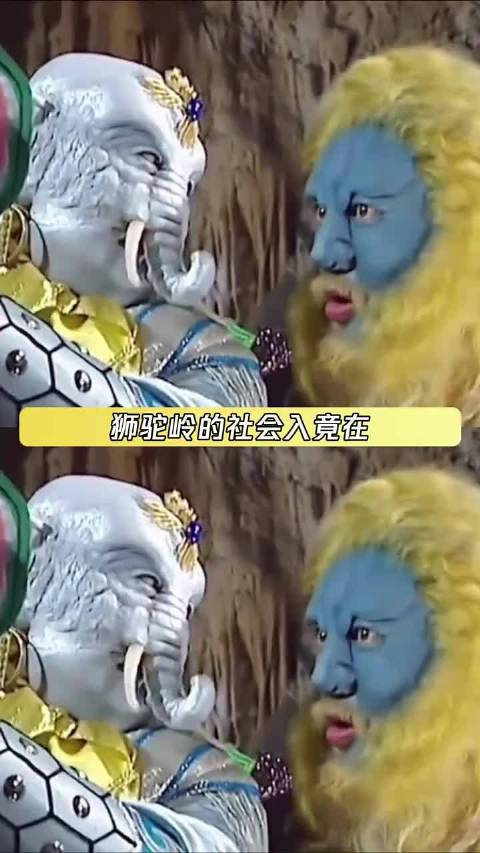 谁能想到白象和青狮还是两只萌物啊