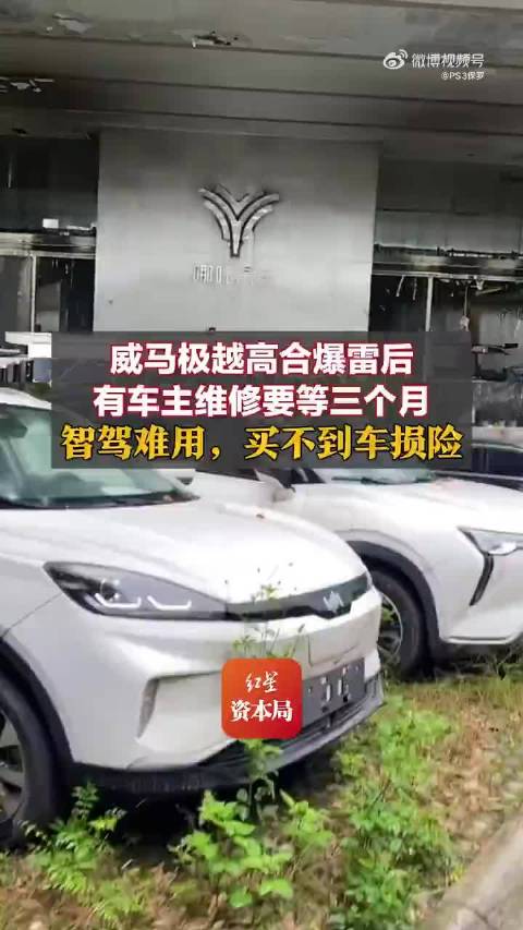 威马极越哪吒车主陷售后困境，维修缺配件技术成难题