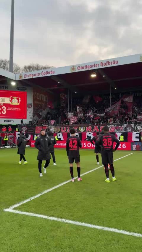 勒沃库森3比3战平海登海姆，国际比赛日后重启征程