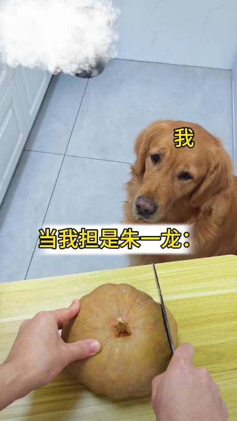 一龙的演技是没有上限的，绝对没有，完全天赋➕带脑子型选手