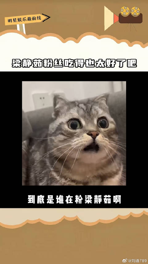 梁静茹合肥演唱会与粉丝双向奔赴庆祝出道25周年