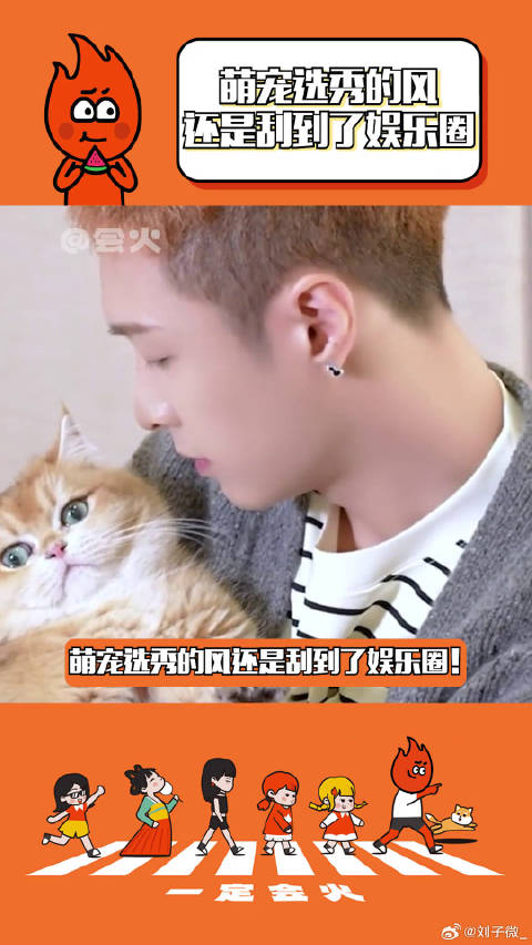 好可爱！我能看一天！萌宠选秀的风还是刮到了娱乐圈 微博VC计划