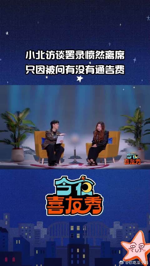 锤娜丽莎小北访谈言论引争议