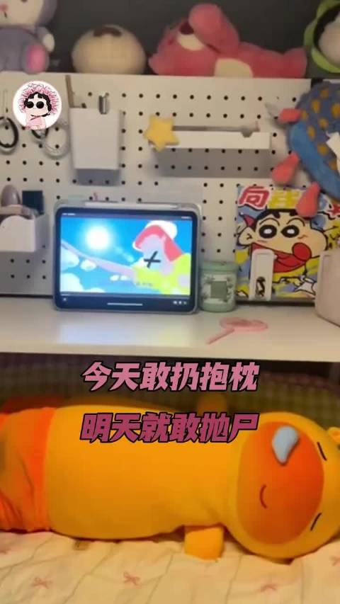 今天敢扔抱枕，明天就敢抛尸啊 玩偶