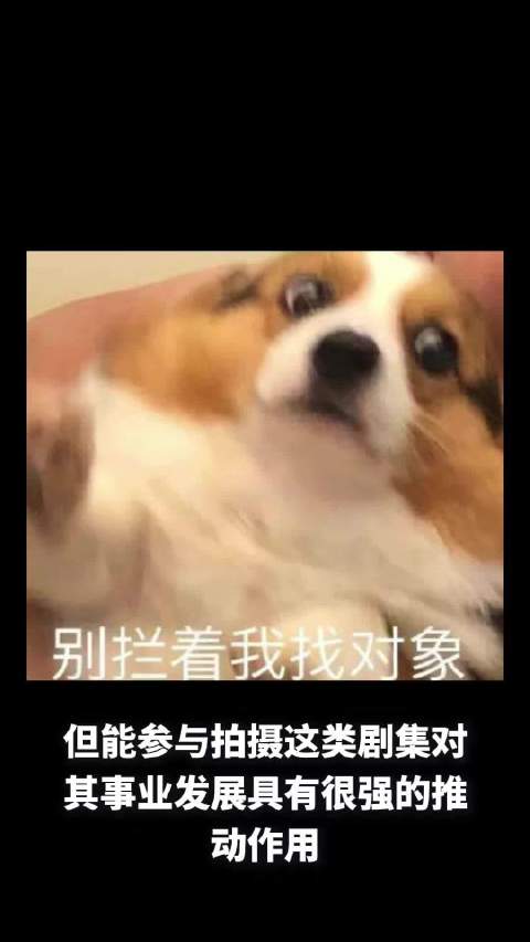 王楚然对接大制作,包上恩接触现偶《偏偏宠爱》