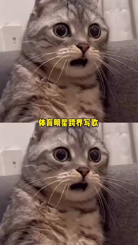 赛场是强者，歌里是温柔，林高远的《小夜灯》也太戳心啦！ 林高远新歌 小夜灯