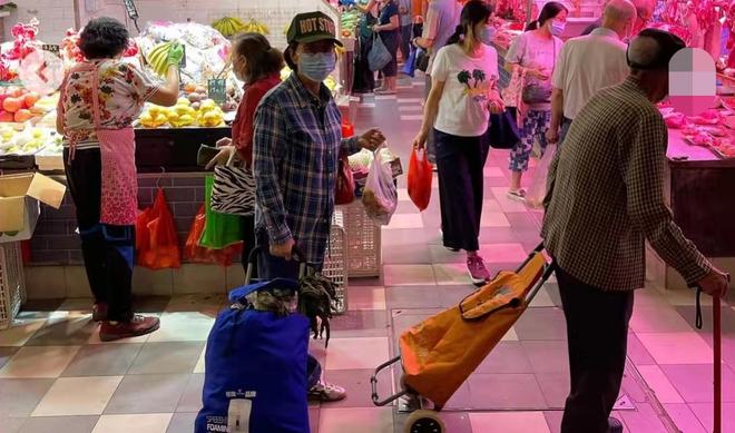 74岁汪明荃现身菜市场，打扮朴素无人识，小推车塞满蔬菜接地气