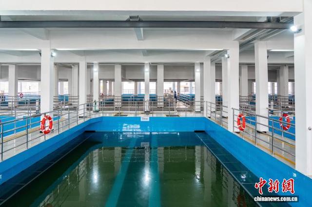 图为西彭水厂截留沉淀细微颗粒与寄生虫卵的砂滤池。 张霁雯 摄