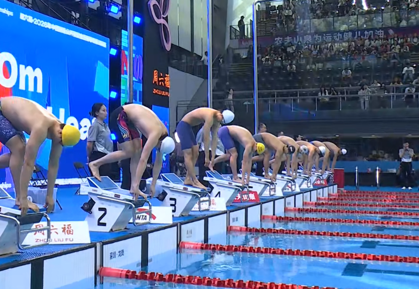 游泳公开赛第4日预赛：潘展乐800自暂居第一，张雨霏、汪顺等晋级
