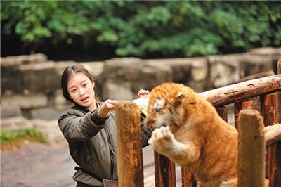 真人秀《奇妙的朋友》热播 动物好可爱明星好辛苦--传媒