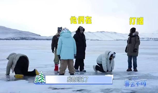 马嘉祺冰面打赌拼胜负，刘耀文干脆喊爹引爆笑