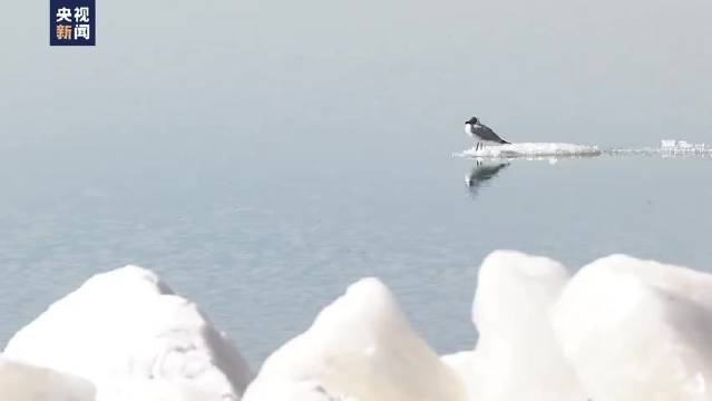 青海湖冰面开裂，冰裂声唤醒高原春天