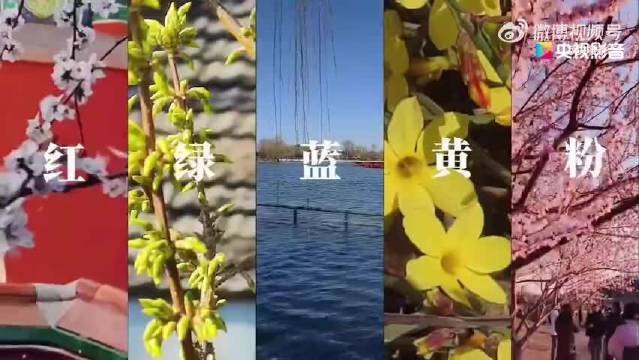 大张伟用Color Walk带你看北京春日色彩