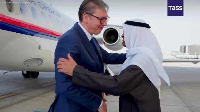 阿联酋总统在阿布扎比会见塞尔维亚总统武契奇