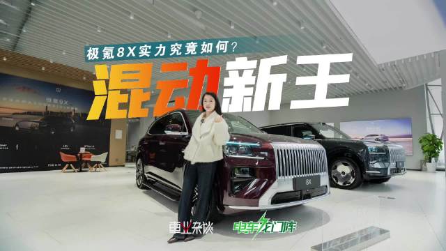 极氪8X预售37.68万起，三大亮点解析