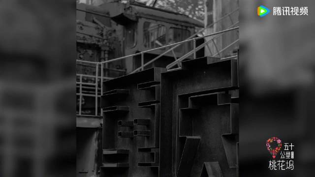 桃花坞上新人了