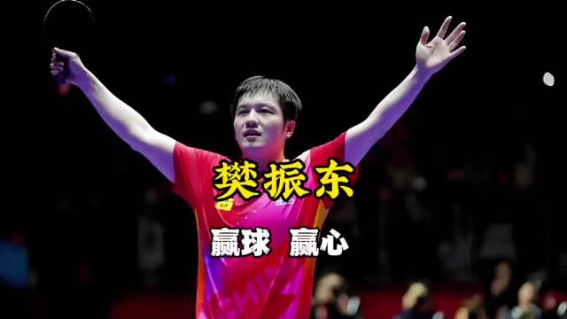 达科、张本智和盛赞樊振东实力球品俱佳