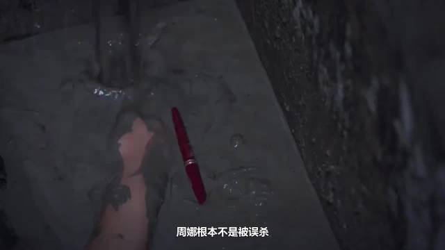 周娜非误杀，柏庶被葛文君设计控制十年