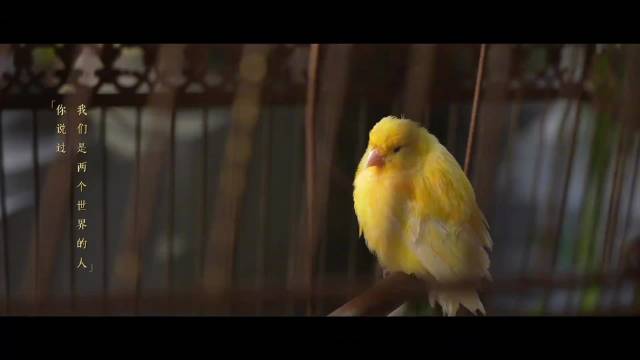 徐若晗饰叶平君掌掴丞磊虞昶轩引热议